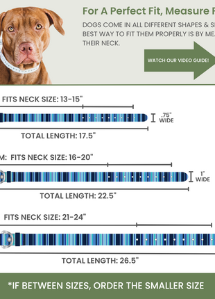 Waterproof Dog Collars – Washable Dog Collar, Stink-Proof & Durable
