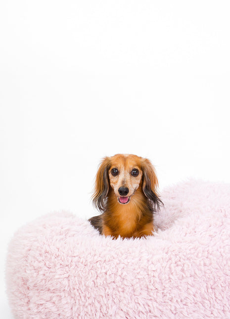POD DOG BED - Pup List