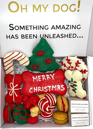 Christmas Themed Dog Treats Gift Box