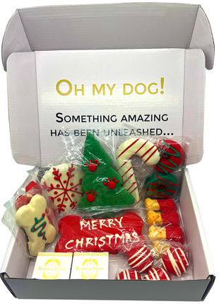 Christmas Themed Dog Treats Gift Box