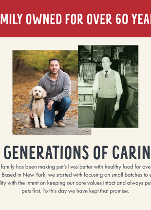 Broth-Licious Beef & Green Bean in Bone Broth -Vitality Recipe for Adult Dogs