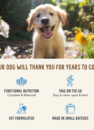 Broth-Licious Chicken & Carrots in Bone Broth- Mobility Recipe for Adult Dogs