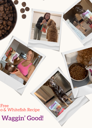 Grain Free Buffalo, Whitefish & Sweet Potato Recipe