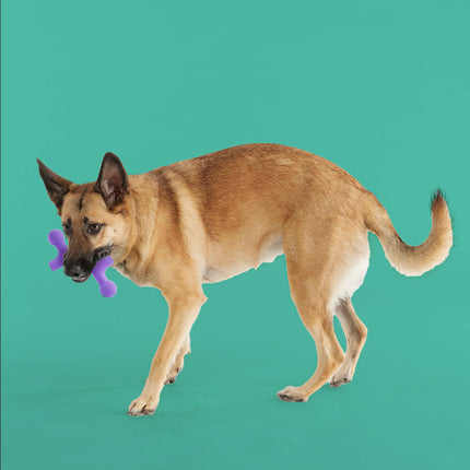 BallBone MAX