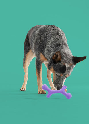 BallBone MAX