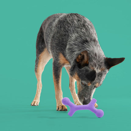 BallBone MAX