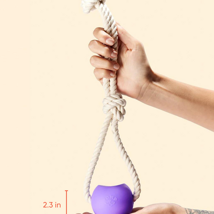 Tug of War Bundle