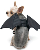 Bat Wing