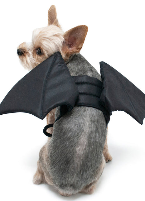 Bat Wing