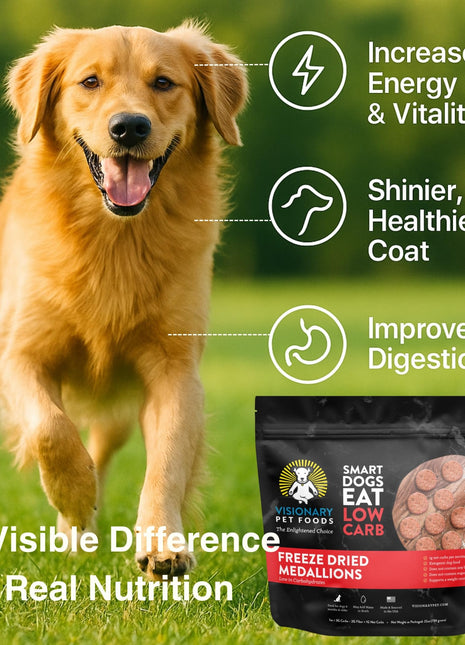 Freeze-Dried Beef Dog Food – High-Protein, Grain-Free Keto Recipe | 25oz Bag - Pup List