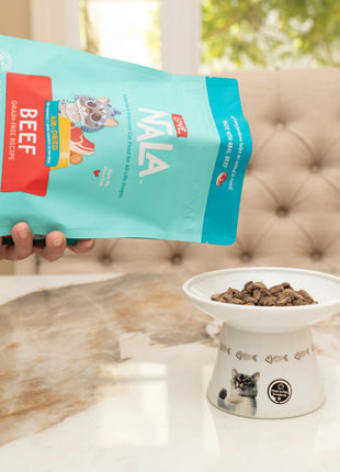 Beef Grain Free Recipe Air-Dried Adult Cat Food 1lb bag
