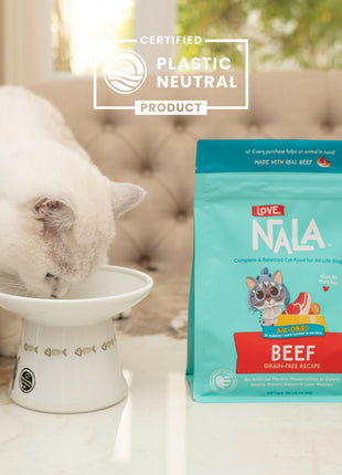 Beef Grain Free Recipe Air-Dried Adult Cat Food 1lb bag