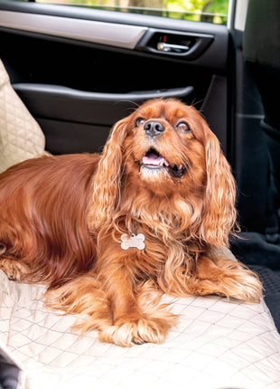 TuffutLuxx® Vehicle Protectors for Travel