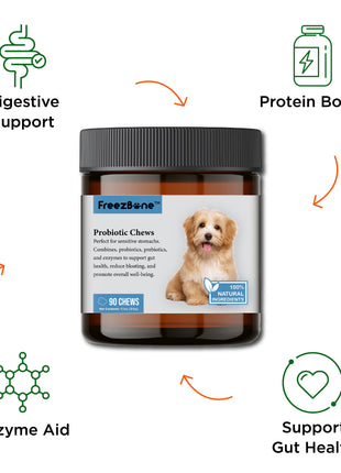 Probiotic Chews (90 Chews)