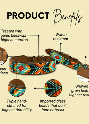 Biarritz Sambboho dog collar