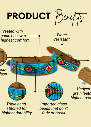 Blue Vogue Sambboho dog collar