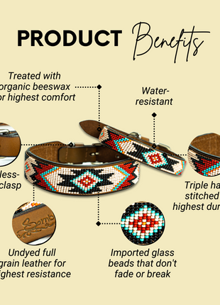 Phoenix Sambboho dog collar