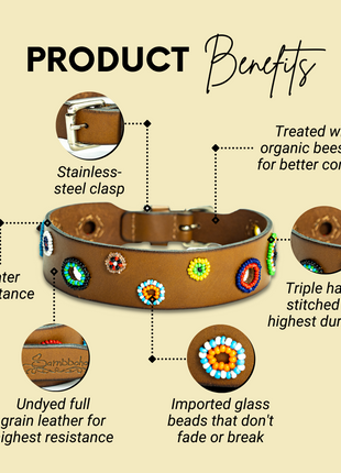 Miami Sambboho dog collar (made to order)