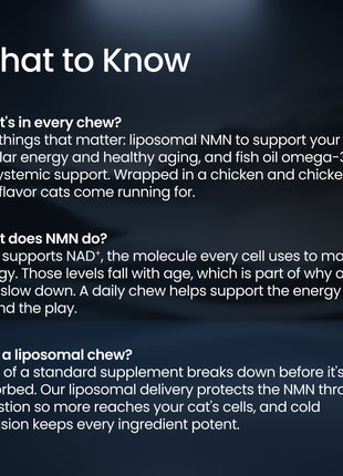 PET NMN Longevity Chews for Cats