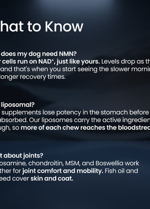 PET NMN Longevity Chews for Dogs