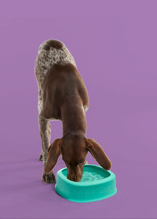 BetterBowl