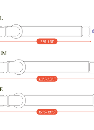 Tilley + Me PVC Dog Collar - All Weather Waterproof Durable & Odor-Resistant - Pup List
