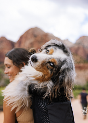 Knavigate | Advanced Dog Carrier with Internal Frame & Hip Belt