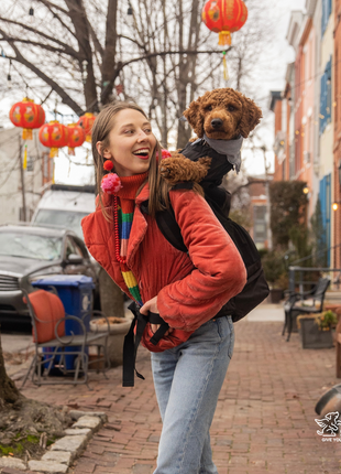 Knavigate | Advanced Dog Carrier with Internal Frame & Hip Belt
