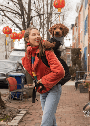 Knavigate | Advanced Dog Carrier with Internal Frame & Hip Belt