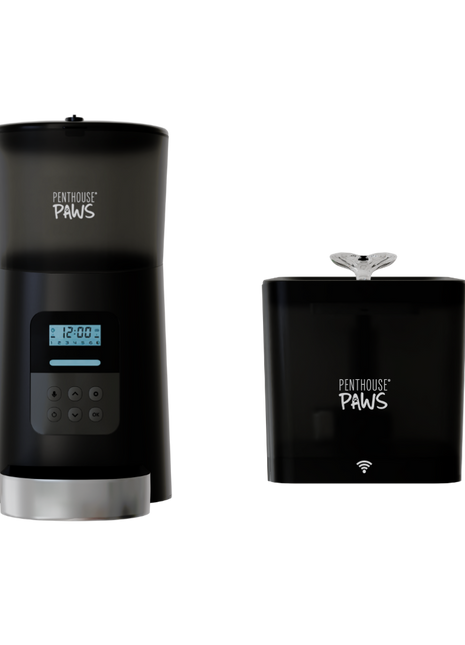 Automatic Cat Feeder & Smart Water Fountain