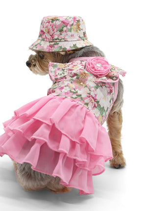 Blossom Dress - Pup List