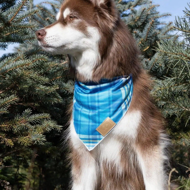 Blue Spruce Plaid Dog Bandana