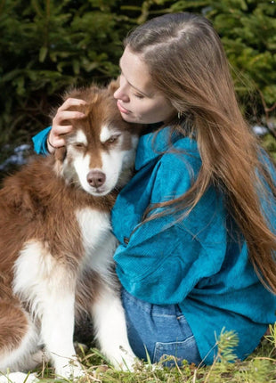 Blue Spruce Plaid Dog Bandana