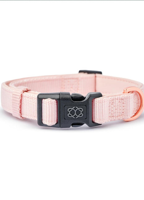 City Collar - Blush - Pup List