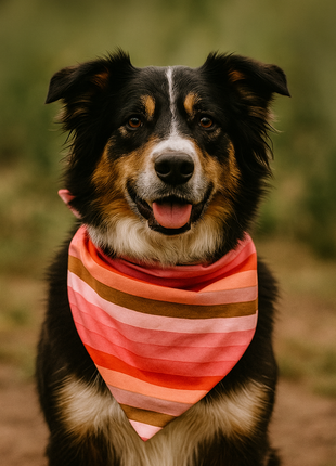 Boho Stripes Dog Bandana