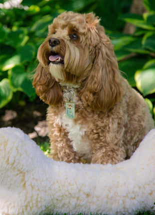 HuggleFleece® 2' Plush Bone Dog Toy