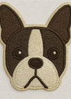 Boston Terrier