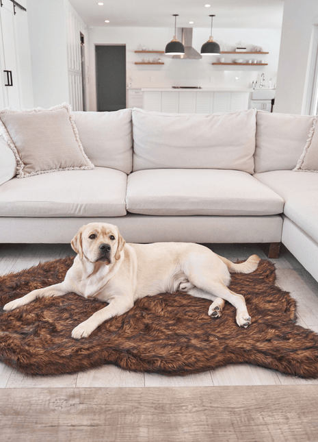 PupRug by Paw.com® Faux Fur Orthopedic Dog Bed - Curve Brown