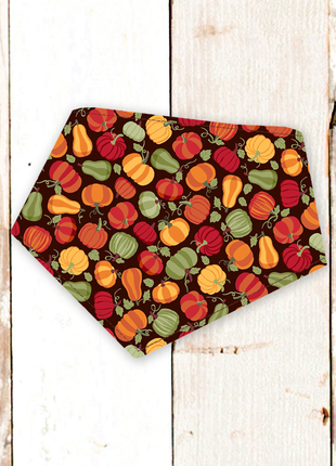"Brown Pumpkins" Dog Bandana