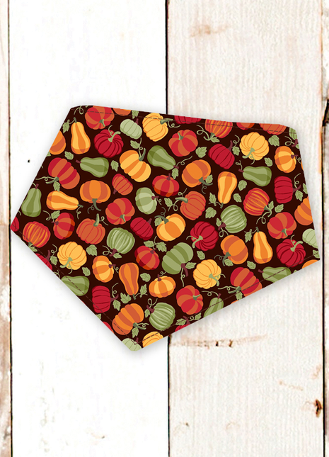 "Brown Pumpkins" Dog Bandana