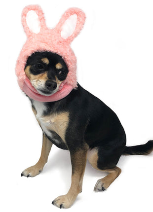Bunny Hat