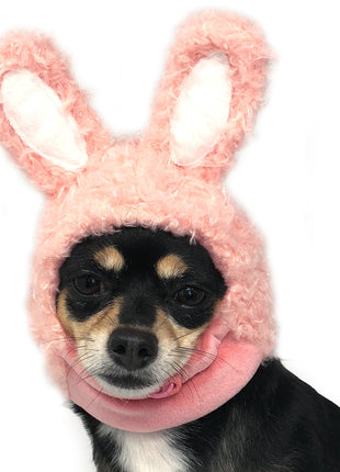 Bunny Hat