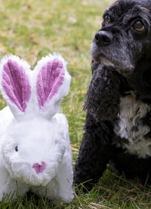 Squooshie™ Bunny Plush Dog Toy