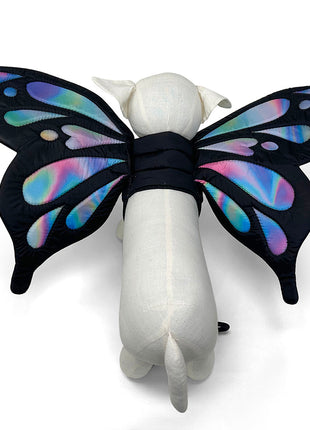 Butterfly Wing