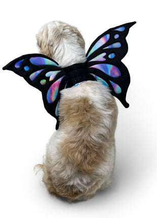 Butterfly Wing