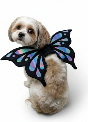 Butterfly Wing