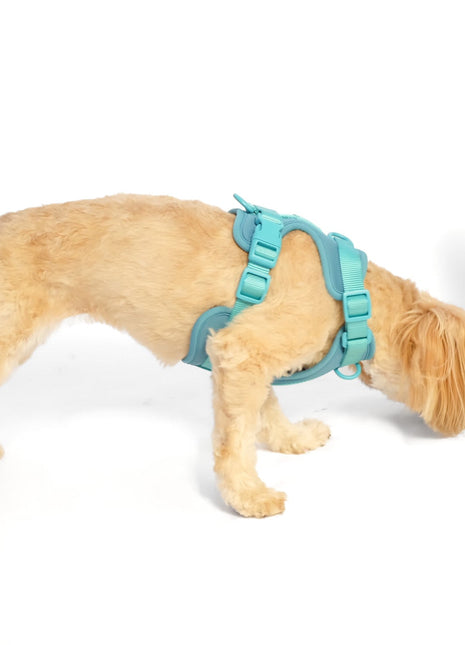 La Tour Eiffel Nose Work Dog Toy / Enrichment Toy