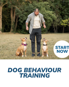 Dog Behaviour Training Online Certificate Course