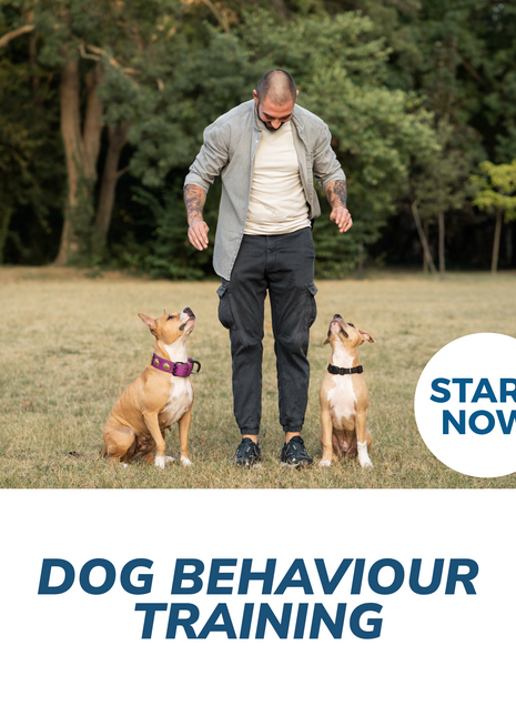 Dog Behaviour Training Online Certificate Course