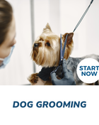 Dog Grooming Online Certificate Course
